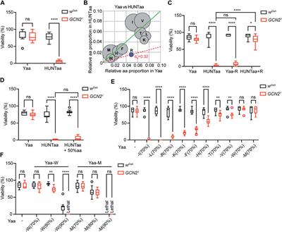 The Role of GCN2 Kinase in Mediating the Effects of Amino Acids on Longevity and Feeding Behaviour in Drosophila